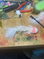 IMG_5071.jpeg
