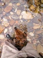 Lolly's favorite fishing stance 2.jpg