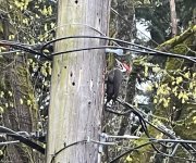 IMG_6874.jpeg