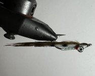 IMG_6879.jpeg