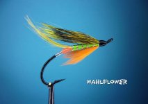 Wahlflower.jpg