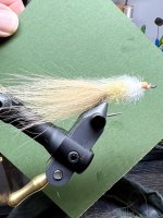 IMG_3875.jpeg