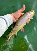 IMG_3689.jpeg