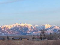 IMG_3728.jpeg