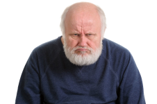 1711845248090.png