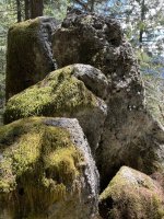 IMG_1915.jpeg