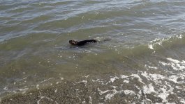 IMG_6918.jpeg IMG_6918.jpeg