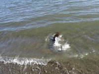 IMG_6919.jpeg IMG_6919.jpeg