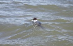 IMG_6925.jpeg IMG_6925.jpeg