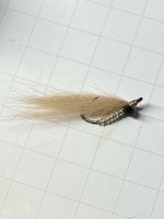 IMG_3879.jpeg IMG_3879.jpeg