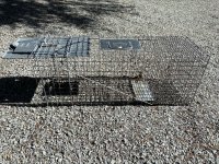 IMG_1787.jpeg