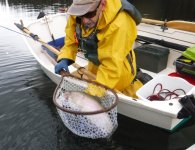 2022 BC trout.JPG