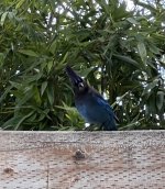 IMG_6940.jpeg