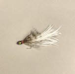 IMG_4243.jpeg