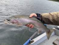A06MyNiceRainbow7635.jpg