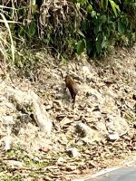 IMG_3957.jpeg IMG_3957.jpeg