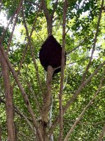 IMG_3939.jpeg IMG_3939.jpeg
