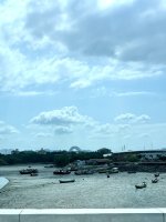 IMG_4018.jpeg IMG_4018.jpeg