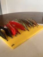 IMG_6517.jpeg IMG_6517.jpeg
