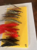 IMG_6518.jpeg IMG_6518.jpeg