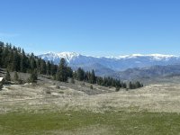 IMG_8738.jpeg