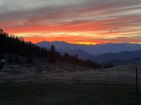 IMG_8745.jpeg