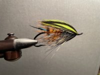 IMG_3111.jpeg