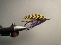 IMG_3133.jpeg