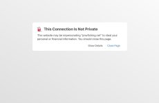 IMG_1122.jpeg