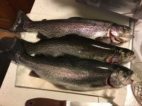 IMG_3770.jpeg