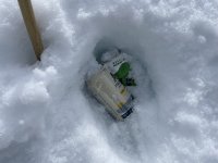 IMG_9227.jpeg