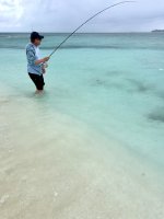 IMG_4250.jpeg IMG_4250.jpeg