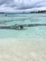 IMG_4242.jpeg IMG_4242.jpeg