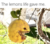 1712350479625.png