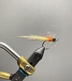 IMG_4293.jpeg
