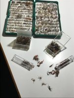 IMG_3772.jpeg IMG_3772.jpeg