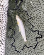 IMG_4675.jpeg IMG_4675.jpeg