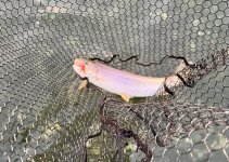 IMG_4672.jpeg IMG_4672.jpeg
