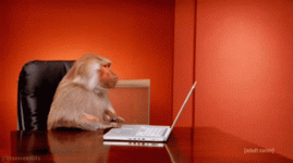 1000005701.gif