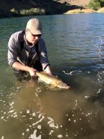walleye.jpeg