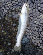 IMG_6971.jpeg IMG_6971.jpeg