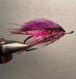 IMG_3144.jpeg