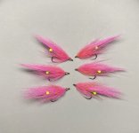 IMG_4368.jpeg