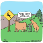 1712587414538.png