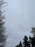 IMG_0258.jpeg