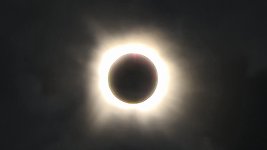 20240408_134123.jpg 20240408_134123.jpg