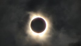 20240408_134154.jpg 20240408_134154.jpg