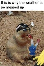 IMG_7007.jpeg