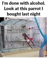 FB_IMG_1712782818472.jpg