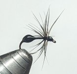 PXL_20220304_194654731.jpg